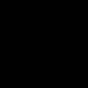 Meet your Posher, Irma